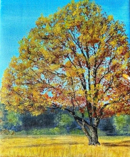 Nature’s Harmony Trio – Original Acrylic Canvas Paintings (Set of 3)